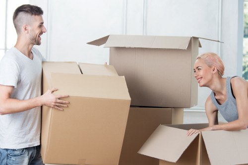 Domestic move support with boxes and furniture