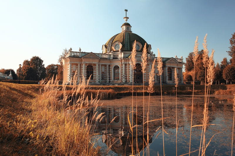 moving company moving services